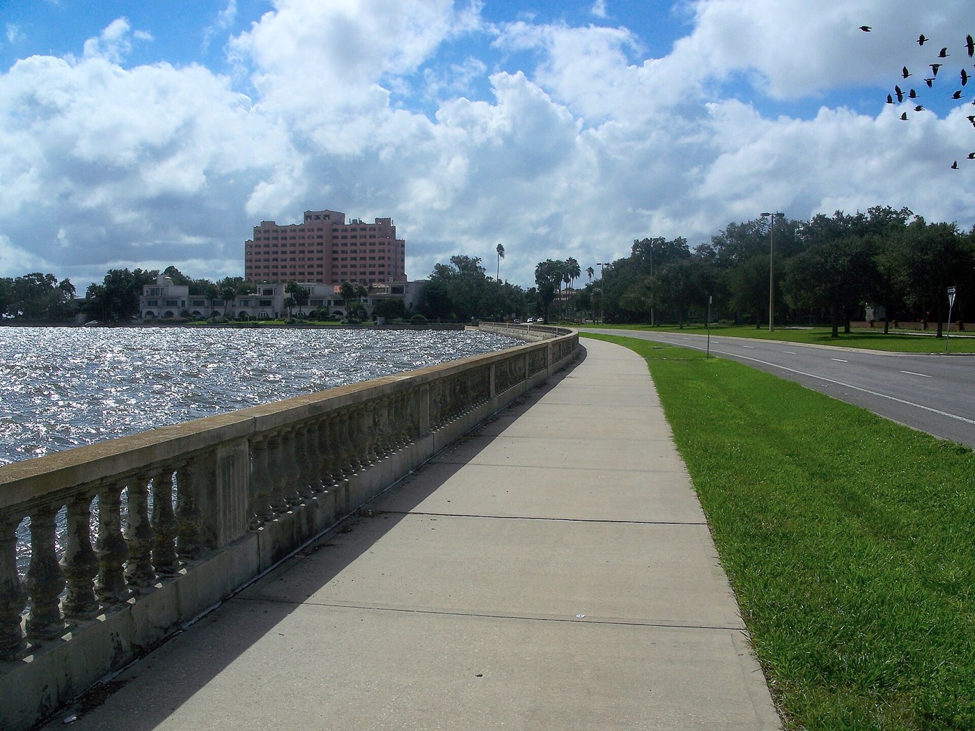 South Tampa, Florida